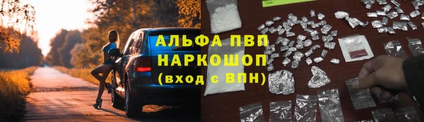 apvp Белокуриха