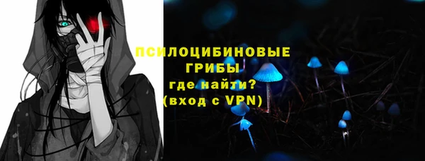 apvp Белокуриха